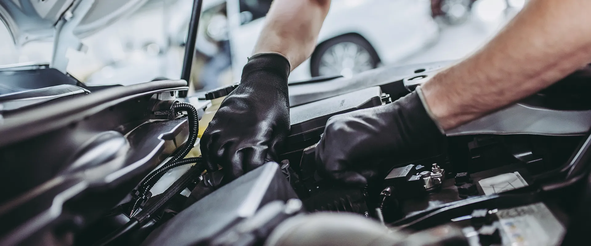 Car Repair near Minnesota